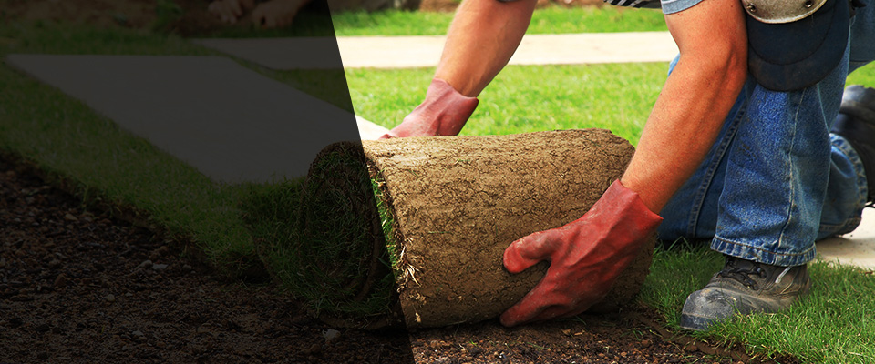 Sherman Landscapers
